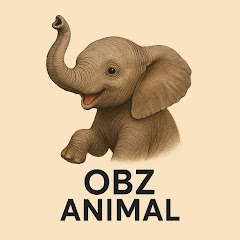 OBZ ANIMAL