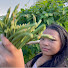 NEH7D6ix70I-channel-avatar-Real Samoa