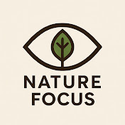 Nature focus