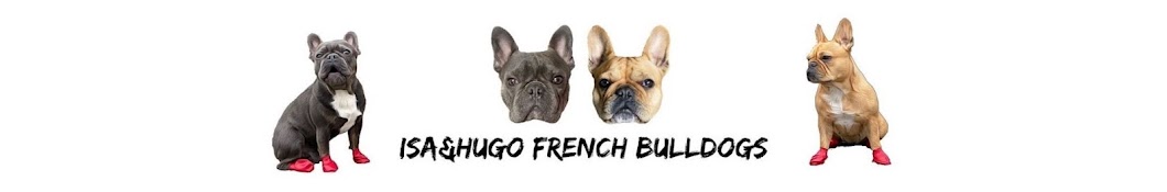 Isa & Hugo French Bulldog यूट्यूब चैनल अवतार