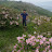 @nam-jun-lee