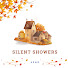1E_B-H4q5UY-channel-avatar-Silent Showers