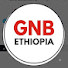 -o_NELlB6l4-channel-avatar-Amharic News GNB  and Zena Point