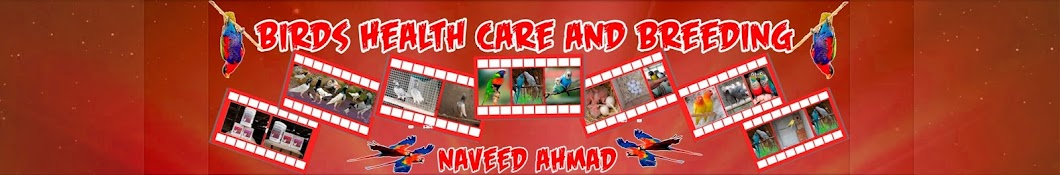 Birds Health Care and Breeding YouTube channel avatar