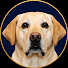 EON_pItxMdg-channel-avatar-Chad Brown Law