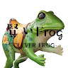 Clever Frog