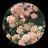 @물망초-z9o