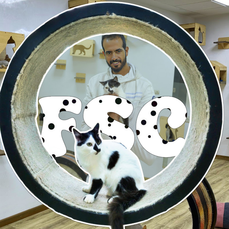 Channel Avatar