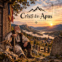 P9ijtfstDKE-channel-avatar-Cristi din Apus