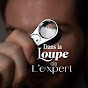 Dans la Loupe de l'Expert logo