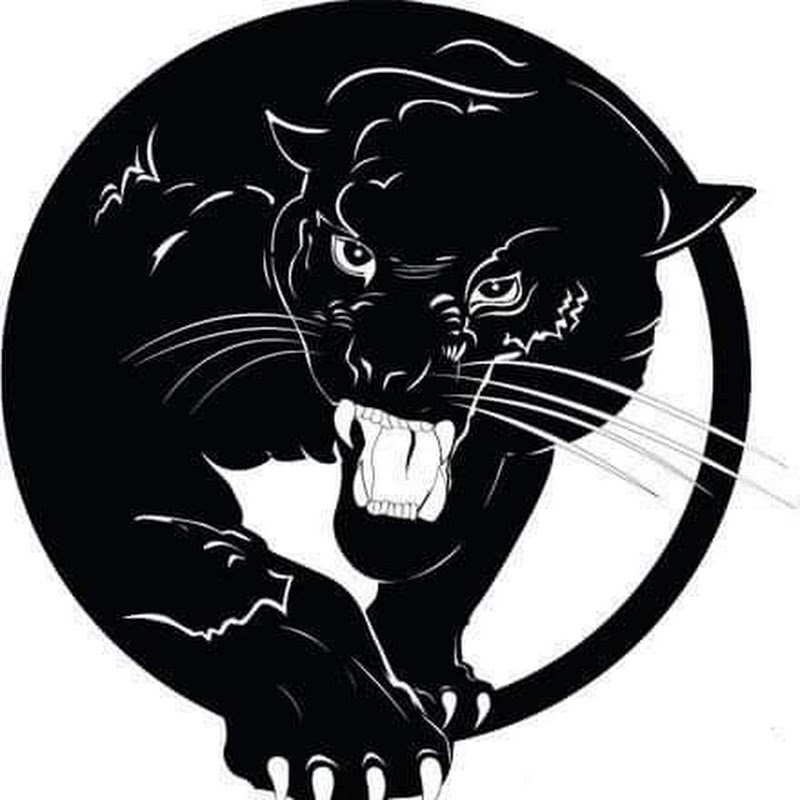 Mr-Tiger