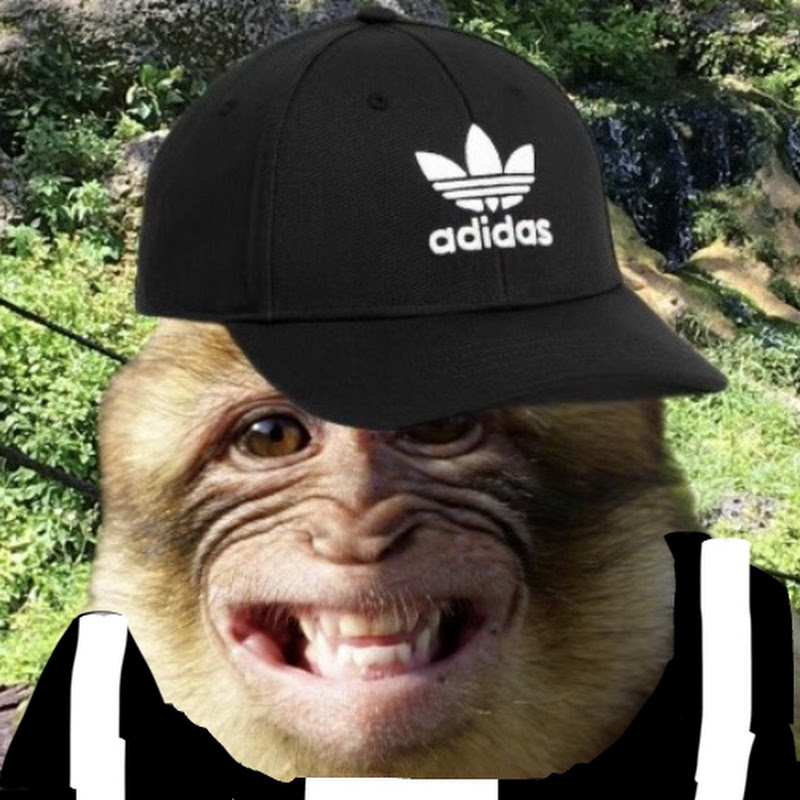 Cool Cap Monkey
