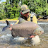CYjrvk4Jjlw-channel-avatar-FULL ON FLY FISHING With Luke Gater