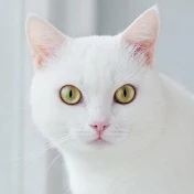 スカッとする話