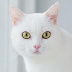 スカッとする話