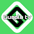 tiIGQEcV_xA-channel-avatar-ジム男のゴツ盛りガンプラTV