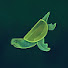 5Y-vODb7CuI-channel-avatar-Kappa: the World of Turtles