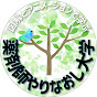 薬剤師やりなおし大学 logo
