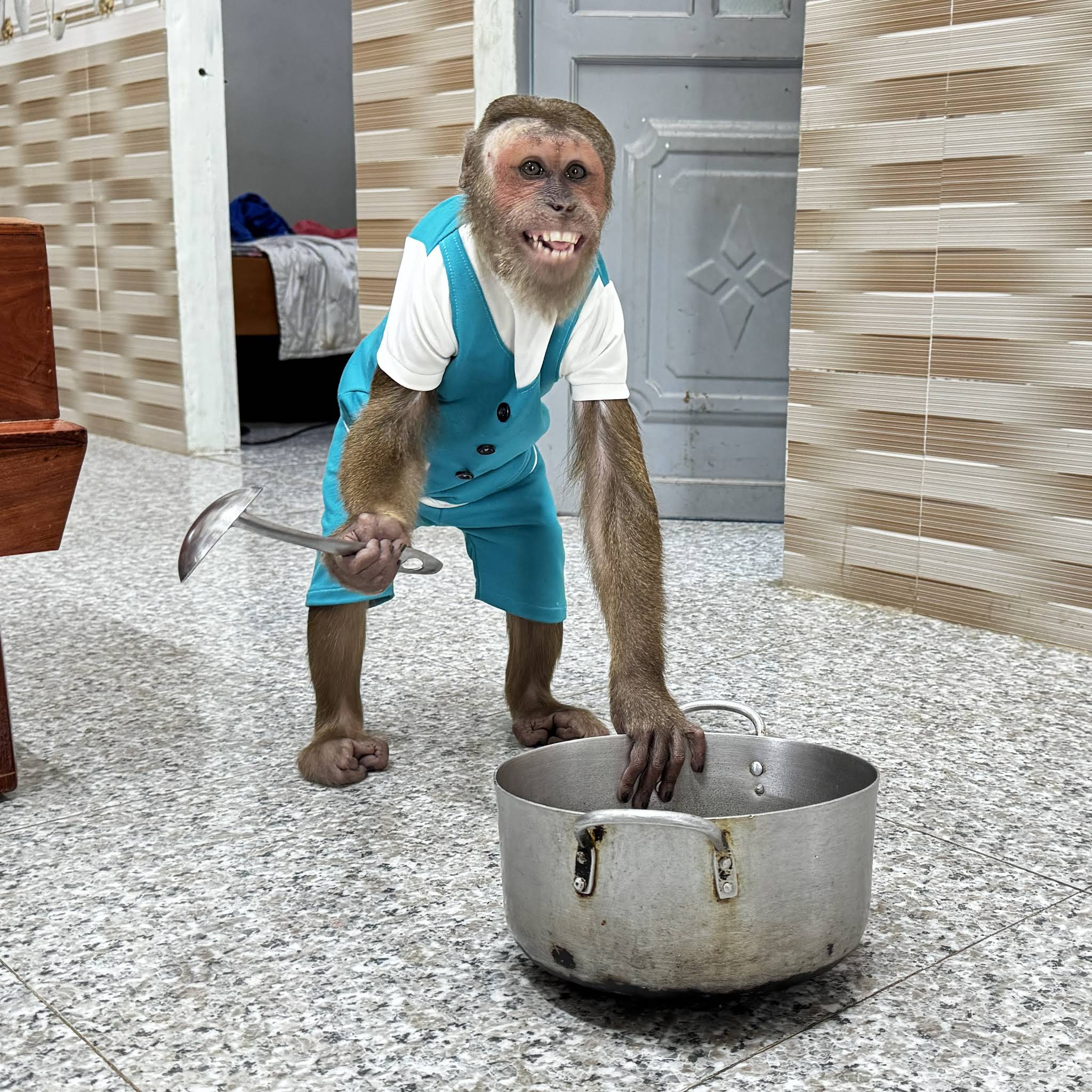 Post from Monkeys Home