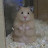 @누룽지룽지-030