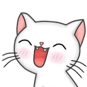 赤ちゃんサメ