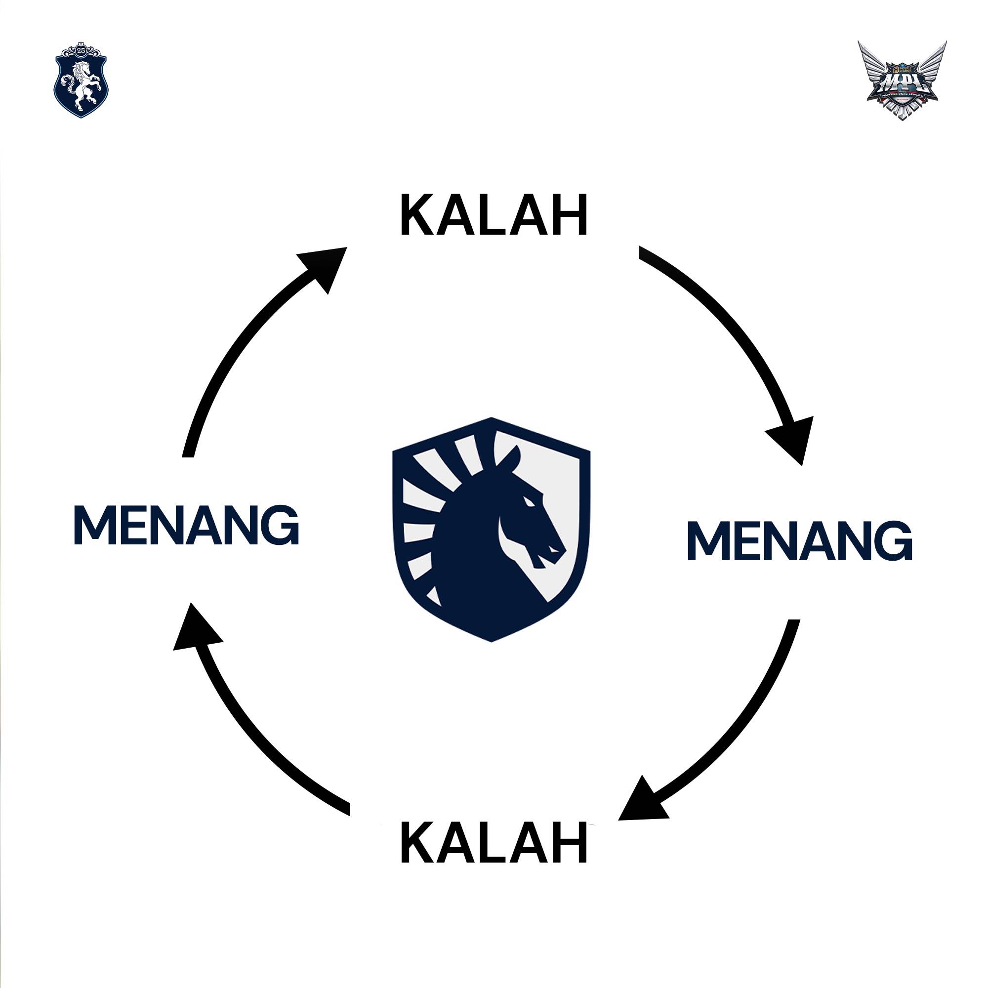 Post from Team Liquid ID