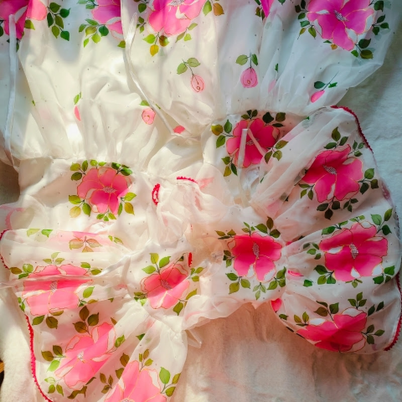 Afroza's Creative Lifestyle