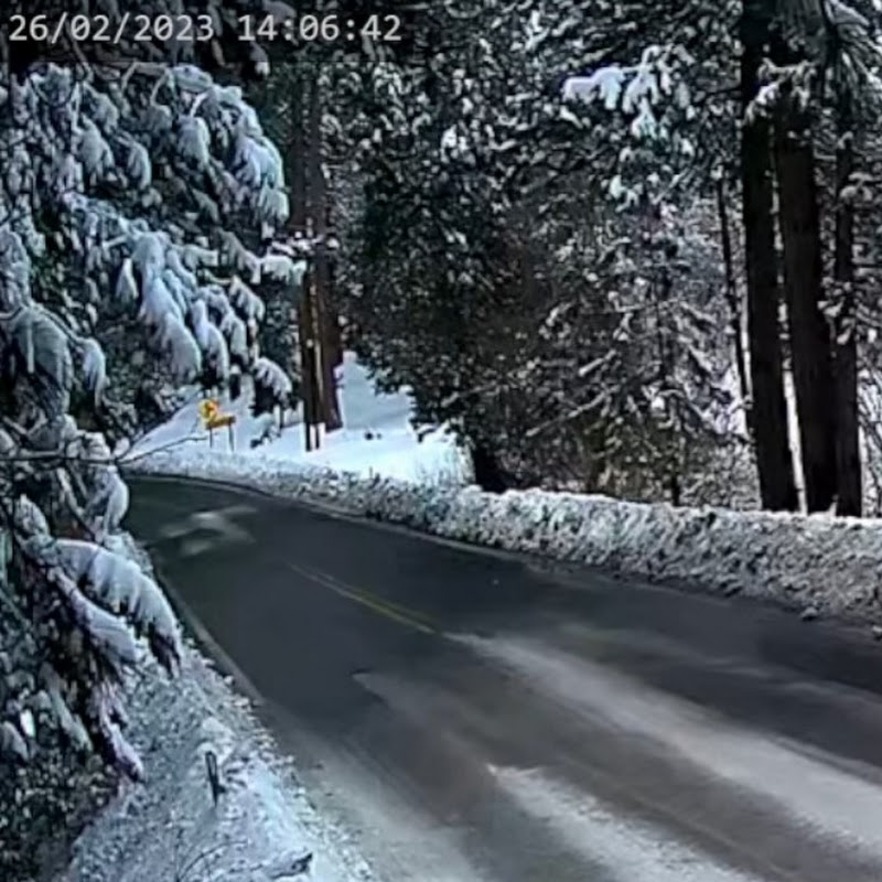 Hwy 243 @ Buckhorn Camp - PJU Webcam Network logo