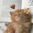 @Salwa2434