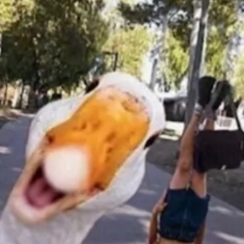 구독자