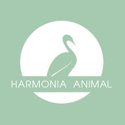 Harmonia Animal