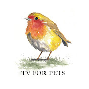 TV FOR PETS