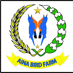 AINA BIRD FARM