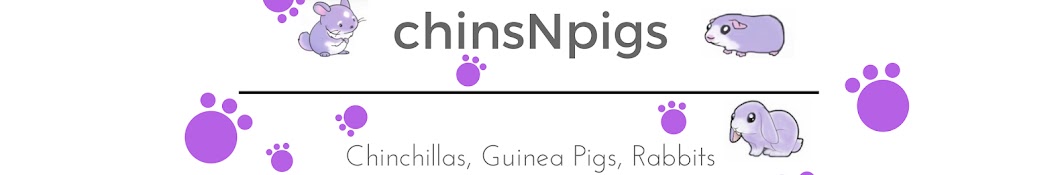 chinsNpigs Avatar canale YouTube 