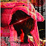 xuv_k6b_nGc-channel-avatar-Jaden Diminno