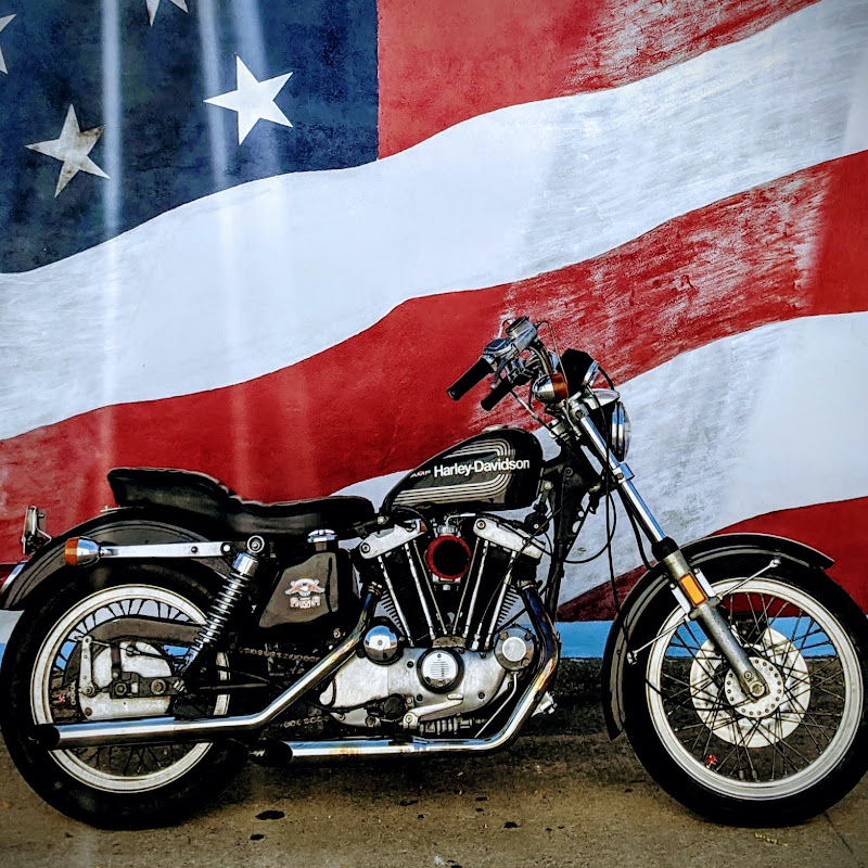  Fuzzy Biker Moto