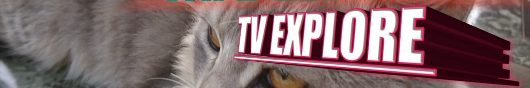 Tv explore ইউটিউব চ্যানেল অ্যাভাটার