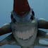 Jnp-uCMzb0g-channel-avatar-Grozznyy_Vlad