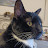 @ColinCatsGaming