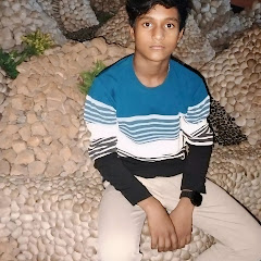 Prince mandal 78