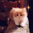 @asmaaadel4260