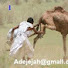 BlMN1DRF0cE-channel-avatar-بـــوابــة على التراث