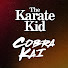 ziafdh047Ok-channel-avatar-Karate Kid & Cobra Kai