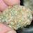 @cannaviews