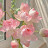 @Retaj_Magdy