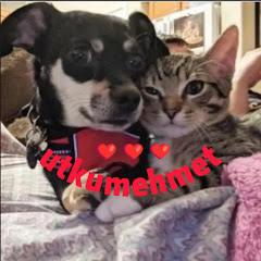 utkumehmet