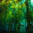 U-NQencQeH0-channel-avatar-KelpiYum