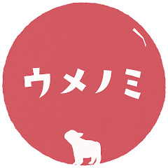 うめのみ│犬と暮らしと料理と…アイコン画像