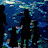 @ExoAquatic Avatar