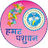 LIRBg73JNbU-channel-avatar-Hamar Pashudhan 